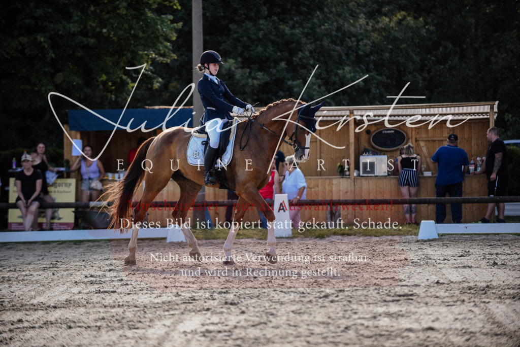 DSC_0506 | Pferde- und Turnierfotografie in Westsachsen. Pferdeportraits, Auftragszeichnungen und intuitive Kunst.
