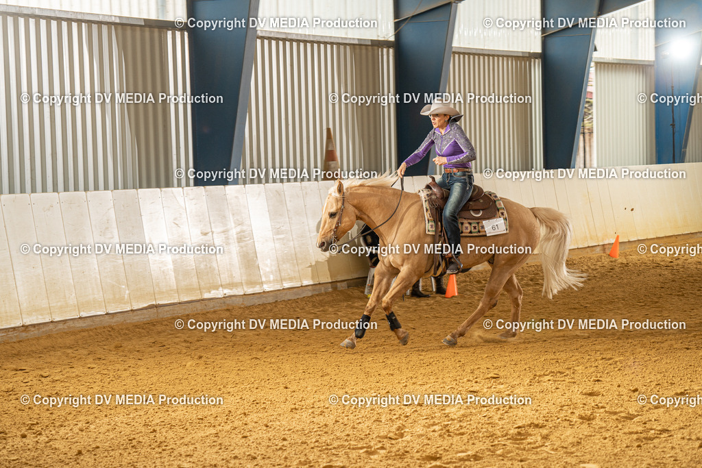 MIT01356 | dv-media-shop - Realisiert mit Pictrs.com