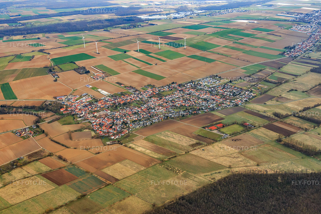 Luftbild: Dorfübersicht im Winter aus Südwesten in Minfeld im Bundesland Rheinland-Pfalz in Deutschland. Foto: IMG_076672.jpg vom 28.03.2015 durch Werner Riehm/FLY-FOTO.de