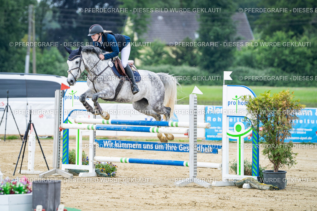 DSC03403 | Pferdegrafie