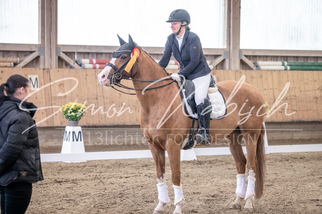 20251011-_3LI1229 | Tierfotografie Pferde, Hunde, Katzen, Haustiere.
Turnierfotografie Reitturniere, Reiten, Springreiten, Dressur in Hanau, dem Main-Kinzig-Kreis und dem Rhein-Main- Gebiet um Frankfurt
