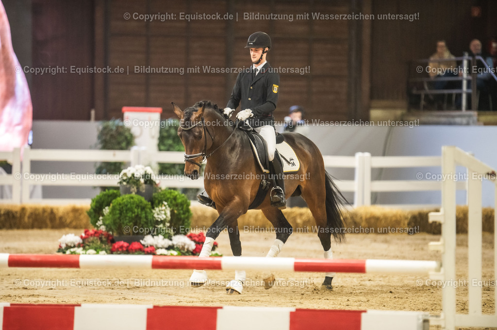 20240302_Hengstvorstellung_Marbach_TOMsPiC_0151 | equistock