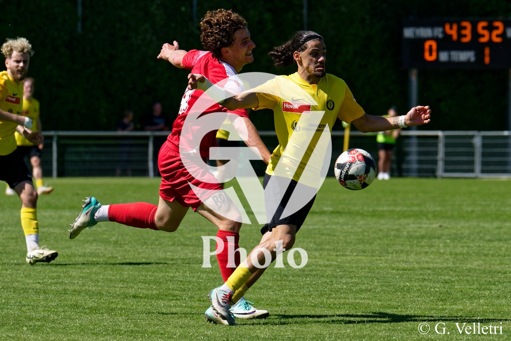 DSC_8026 | Velletri Photo