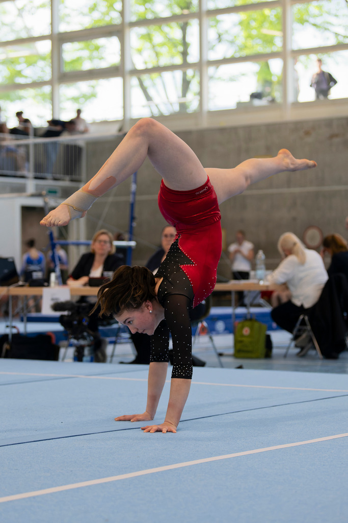 _DSC2503 2_DxO-1 | photoluigi