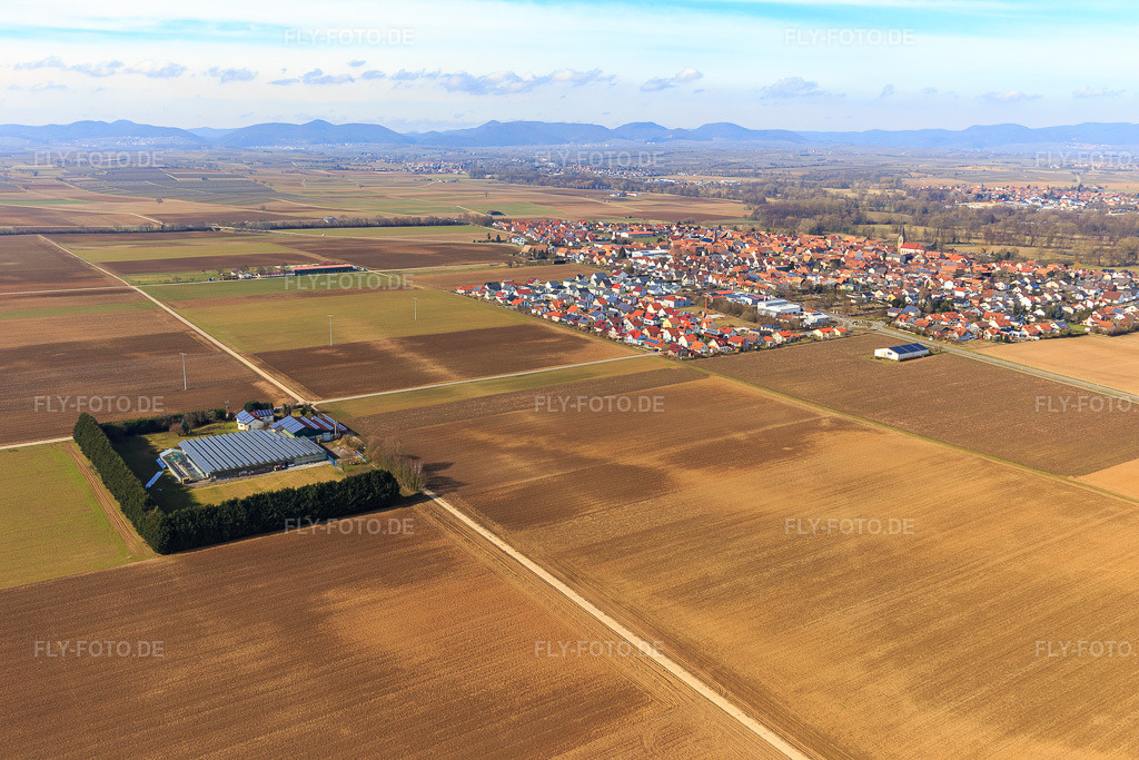 Luftbild: Dorfansicht aus Südosten in Steinweiler im Bundesland Rheinland-Pfalz in Deutschland. Foto: IMG_097180.jpg vom 25.02.2017 durch Werner Riehm/FLY-FOTO.de