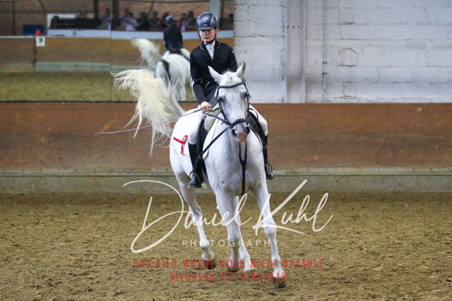 DKP44487 | Turniersportfotografie; Pferdefotografie; Dressurfotografie