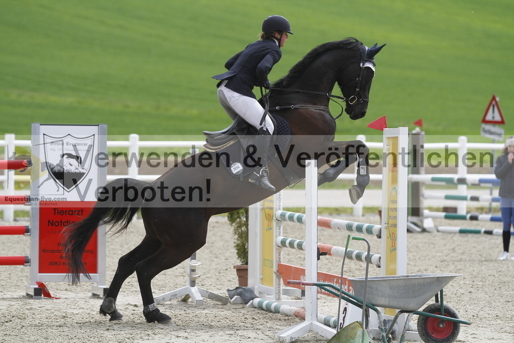 _MG_1939 | equestrian-live-com