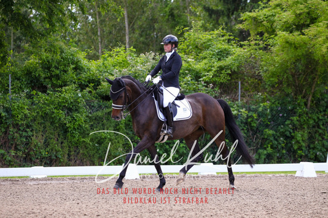 DKP40883 | Turnierfotos kaufen im Webshop von Daniel Kuhl Photography – entdecke professionelle Reitsportfotos aus Turnieren & Events. Hochwertige Turnierbilder online bestellen & sichern. Jetzt Fotos von Reitsportturnieren kaufen!