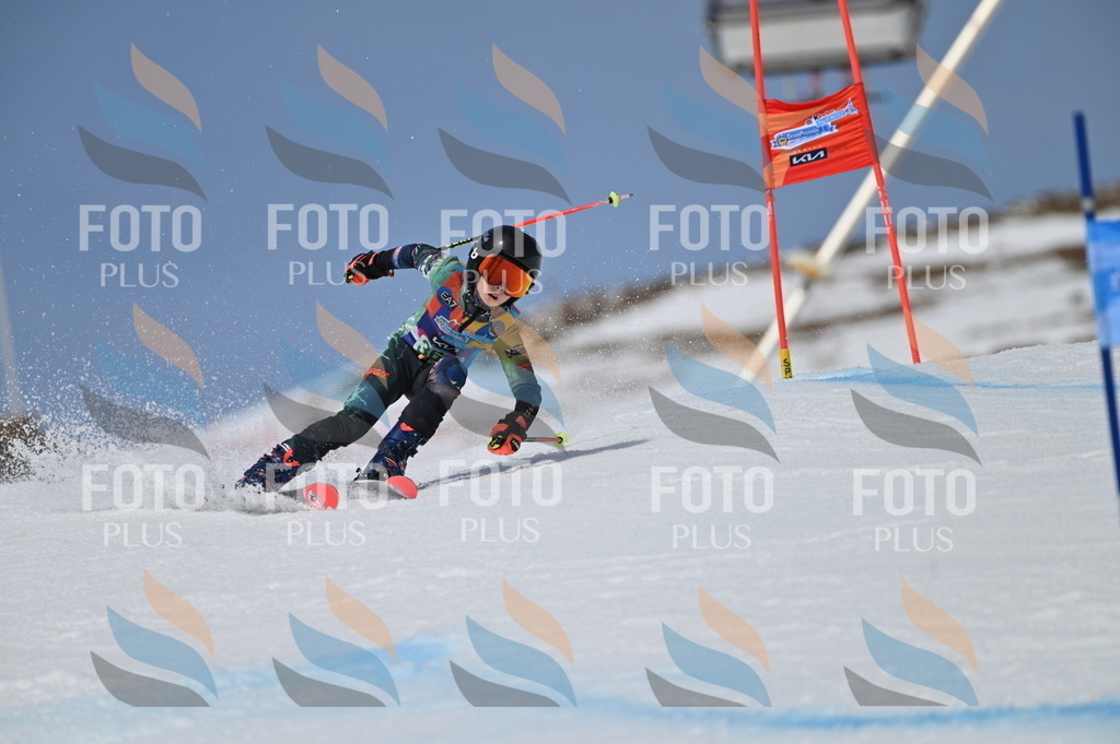 BGV_7207 | holidayphoto