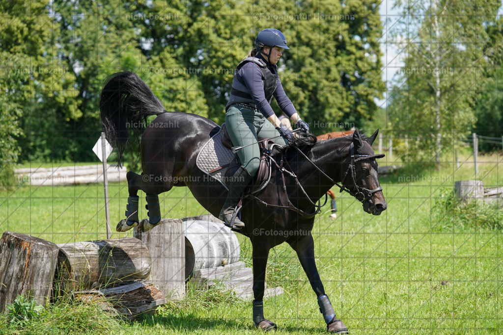 20240622-FAH06848 | Turnierfotografen Bayern, Reitsportbilder aus dem Geländekurs mit Felix Etzel auf dem Gut Waitzacker 2024