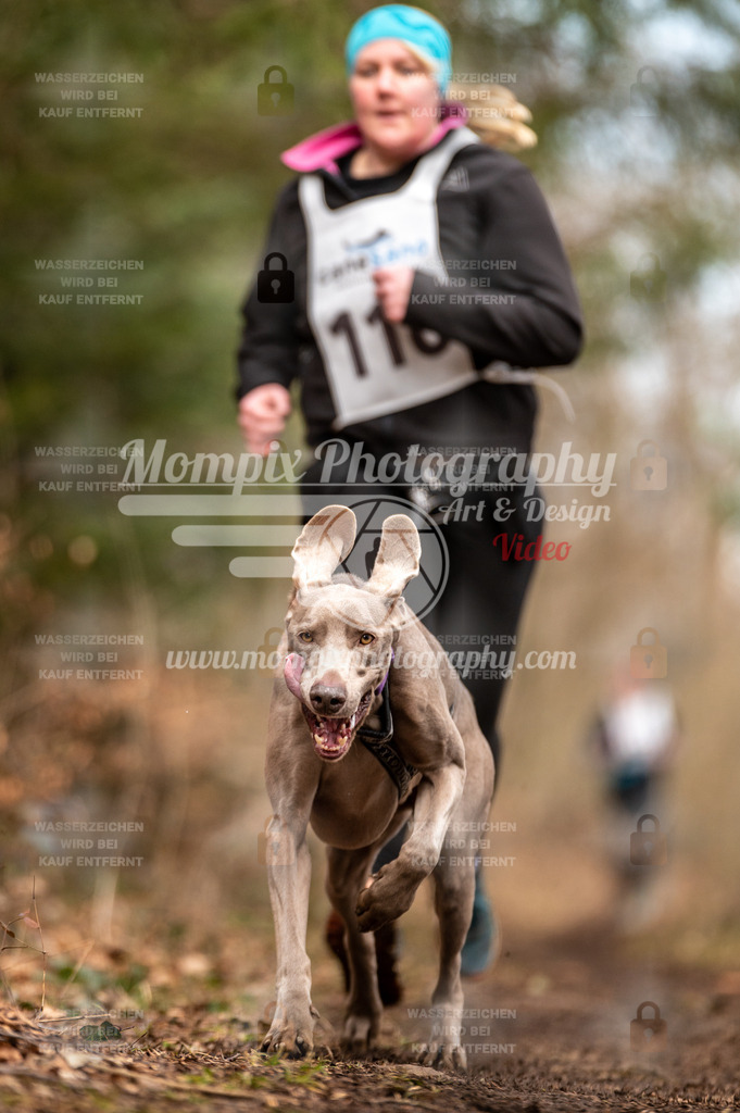 Reiat2023_SAM_CaniXRun_5km_W-54 | PayLife