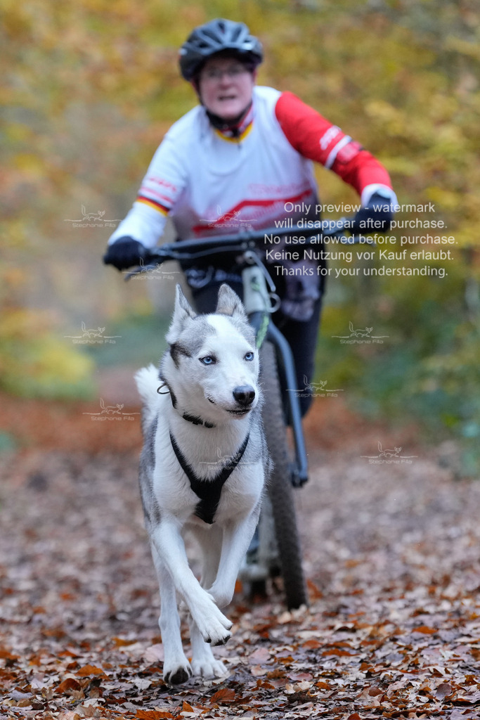 AusschnitteSo-80 | stephaniefillaphotographie - Realisiert mit Pictrs.com