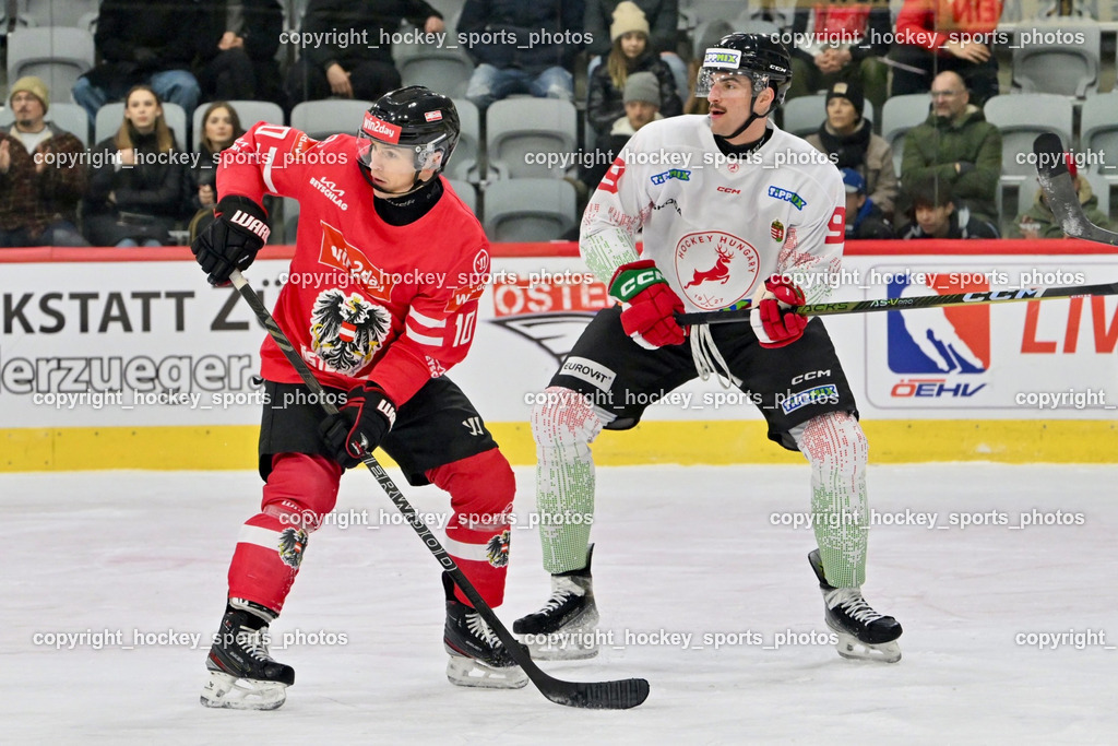 Österreich vs. Ungarn 14.12.2023 | Österreich vs. Ungarn 14.12.2023, Österreich vs. Ungarn  am 14.12.2023 in Klagenfurt (Heidi Horten Arena), Austria, (Photo by Bernd Stefan)