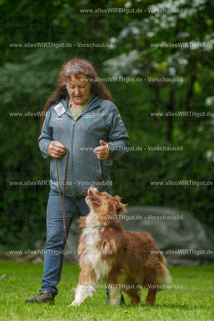 @allesWIRTHgut_Tierfotografie - www.allesWIRTHgut.de - 7R500775 | Professionelle Tierfotografie in Mönchengladbach von Daniel Wirth (allesWIRTHgut). Liebevolle & natürliche Bilder von Hunden & Katzen für unvergessliche Erinnerungen.