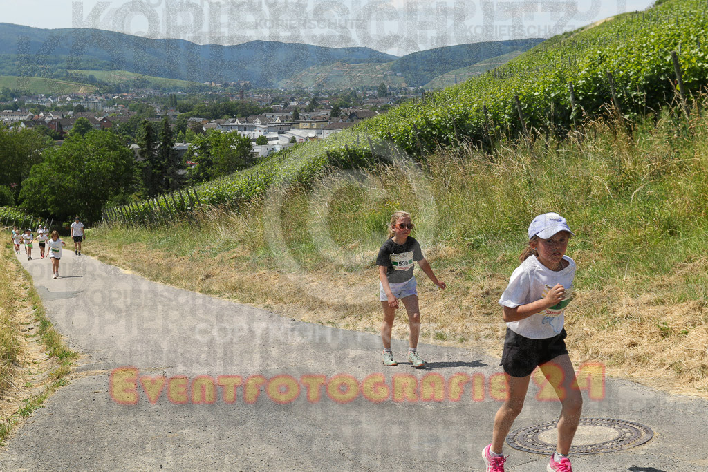 230617_1304_EV9_8049 | Sportfotografie im Rhein-Sieg Kreis, Köln, Bonn, NRW, Rheinland Pfalz, Hessen, etc. Unser Tätigkeitsfeld umfasst den Laufsport vom Volkslauf über den Marathon, Duathlon, Triathon bis zum Ultralauf wie Kölnpfad Ultra oder Schindertrail.