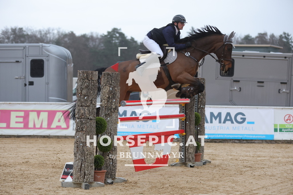 0P6A5553 | Willkommen bei Brunnmayr - Design & Fotografie – Ihrem Spezialisten für Reitturniere und Pferdeveranstaltungen in Oberösterreich, Salzburg und Bayern! Seit über 17 Jahren sind wir leidenschaftlich dabei.