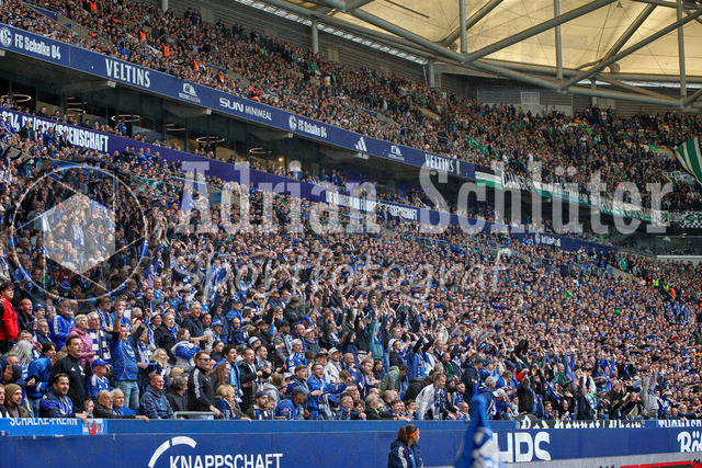 19.04.2026, GER, Fussball, Herren, 2. BL, Saison 2025/2026, FC Schalke 04 - Preußen Münster | die Fans von Schalke 04 machen eine Laola Welle