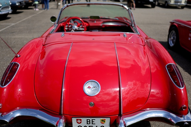 Calag_Oldtimer2025-31 | Ich fotografiere Hundeausstellungen, Sportanlässe, Zuchtstätten, Hundezucht, Hundeportrait, Lagotto - Realisiert mit Pictrs.com