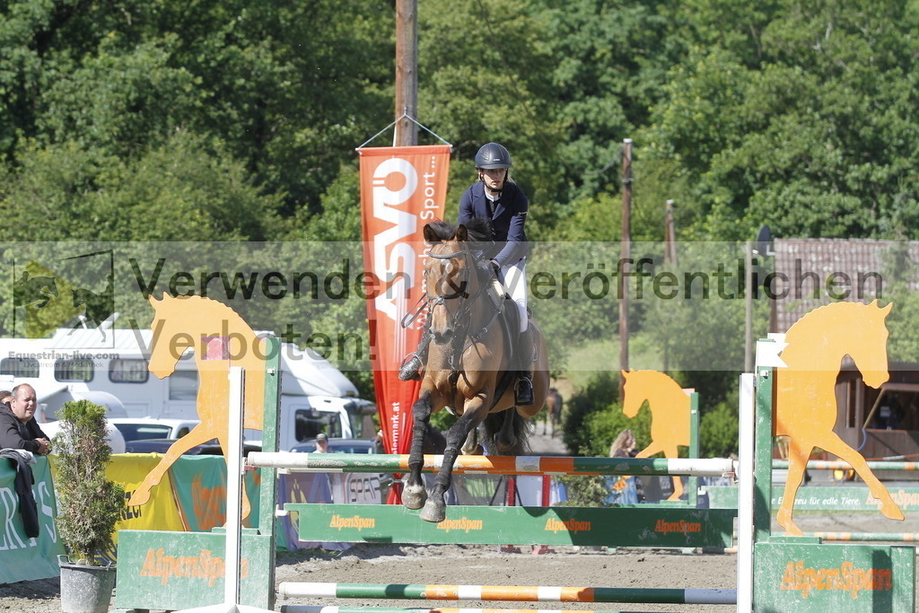 _MG_8345 | equestrian-live-com