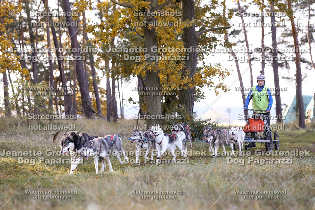 Dog Paparazzi - Elsholz 25 -43 | Dog Paparazzi Jeanette Grottendiek Fotografie & Videografie - Realisiert mit Pictrs.com