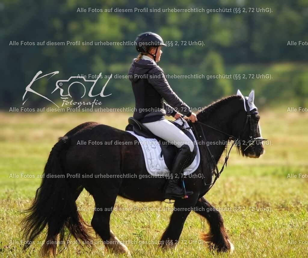 IMG_20231008_201203_043 | krollfotografie - Realized with Pictrs.com