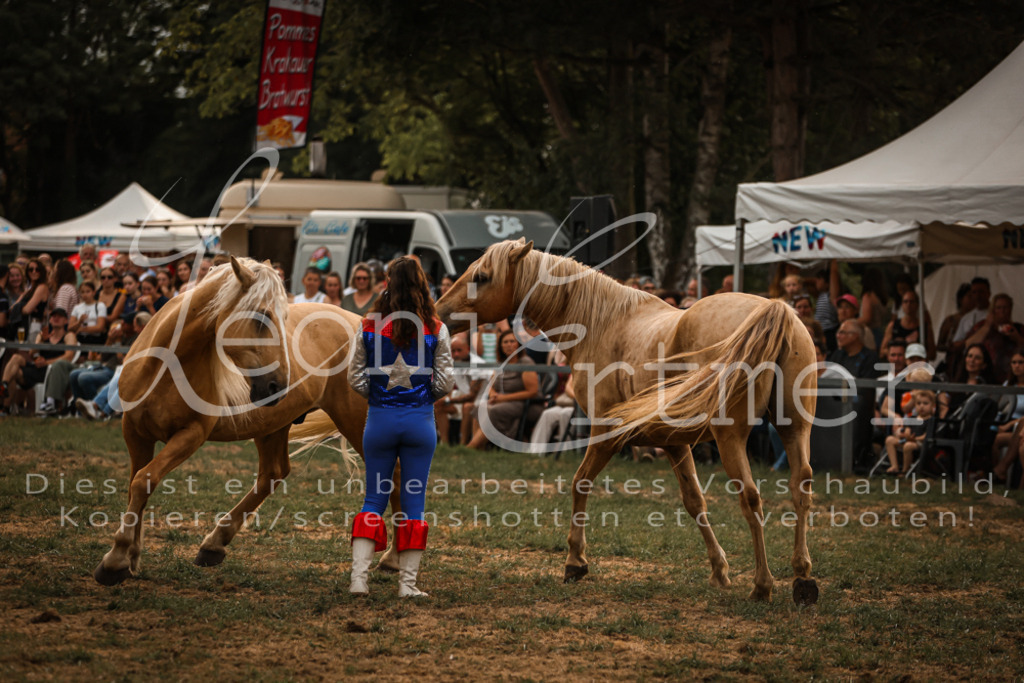 SoProg00053 | Leoni Ertmer Photography - Realisiert mit Pictrs.com