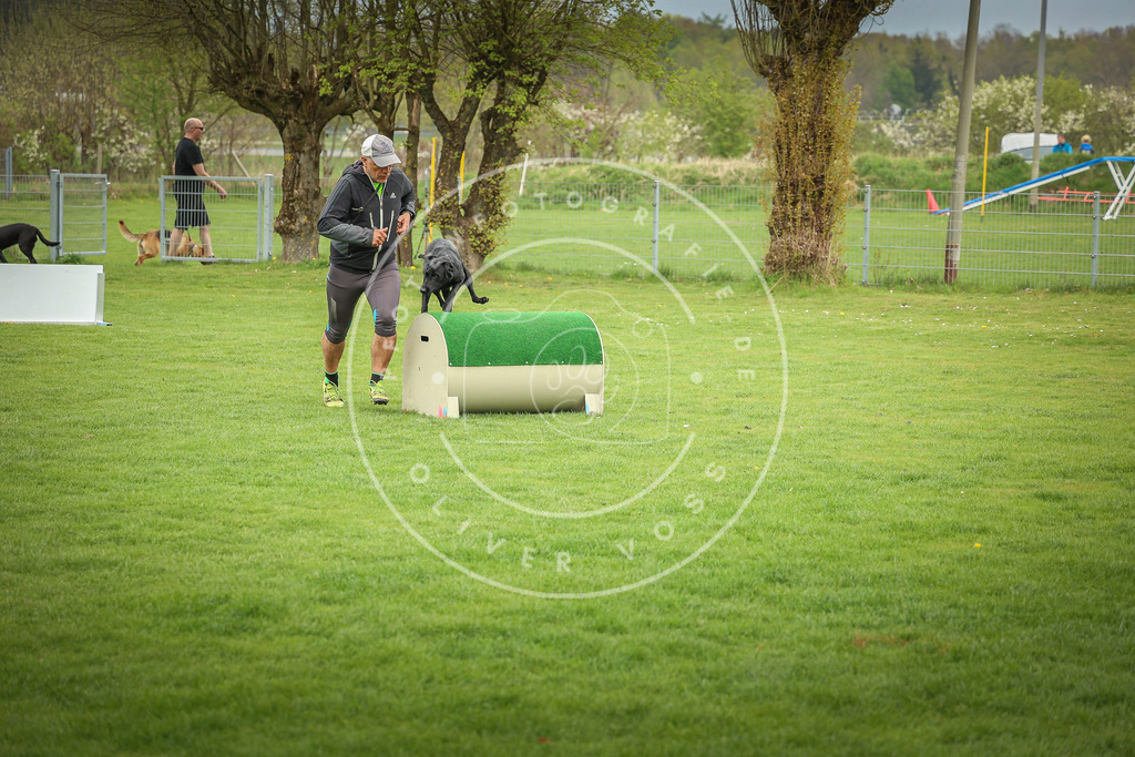 Pfotenfotografie_0L8A9541 | Hundefotografie, Tierfotograf, Pfotenfotografie, Fotoshooting Hund, Hunde Portrait, Hundesport, Hundeportraits, Heideshooting, Hunde, Sportfotograf, Hundefotograf, Turnierhundsport, THS,  - Realisiert mit Pictrs.com