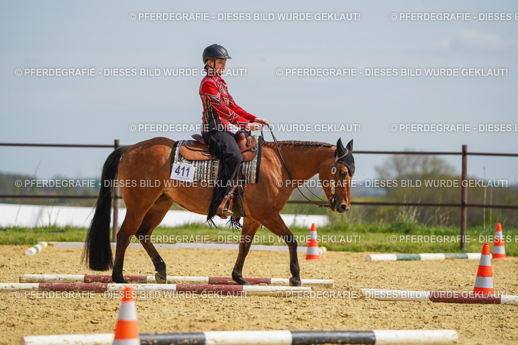 DSC04515 | Pferdegrafie