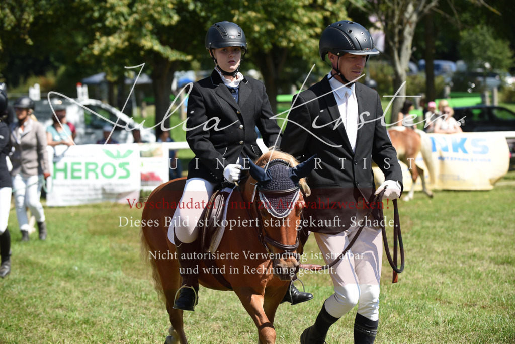 DSC_9694 | Pferde- und Turnierfotografie in Westsachsen. Pferdeportraits, Auftragszeichnungen und intuitive Kunst.