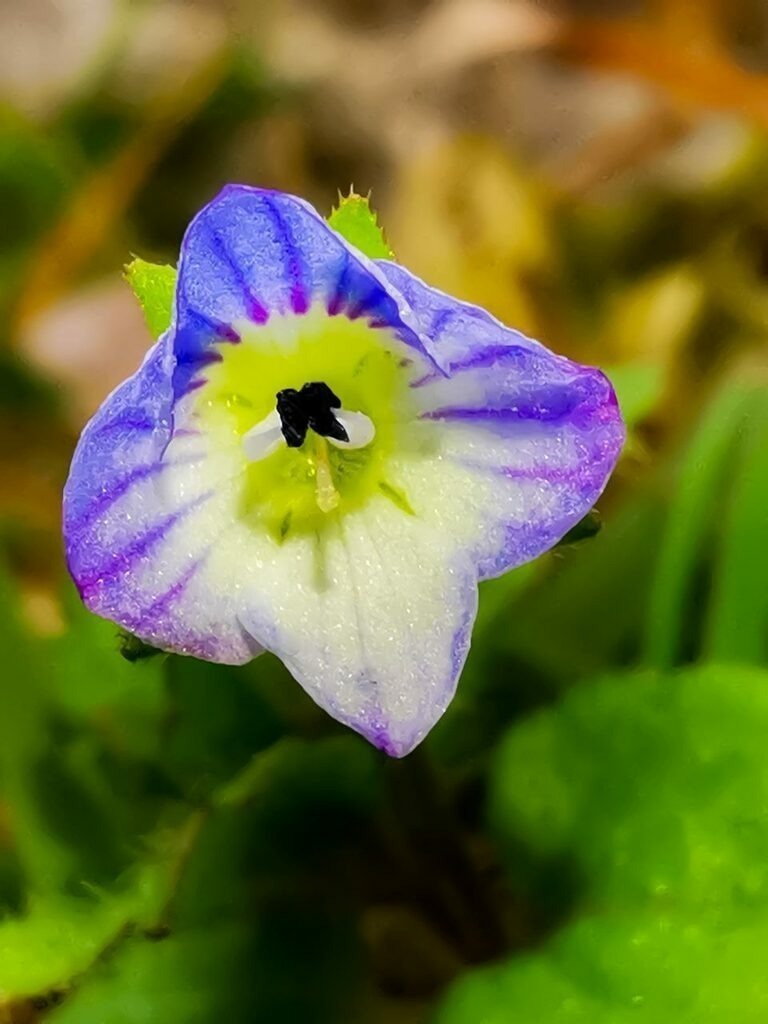 PSX_20221229_231441 | mtkfoto_ - Realisiert mit Pictrs.com