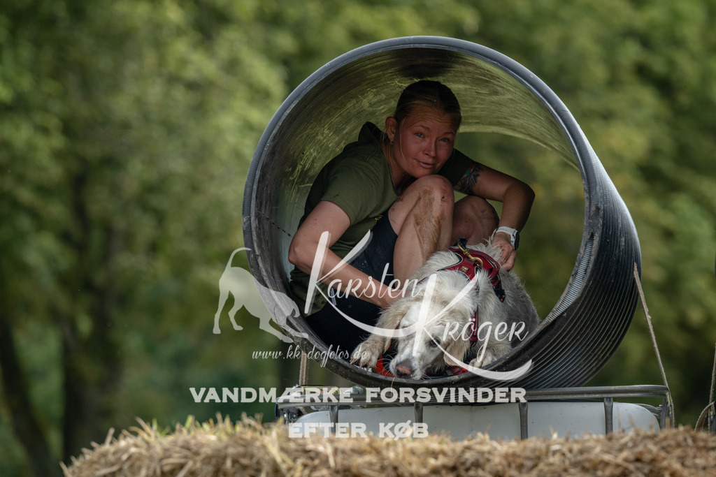 0955_ZZ91643 | kk-dogfotos