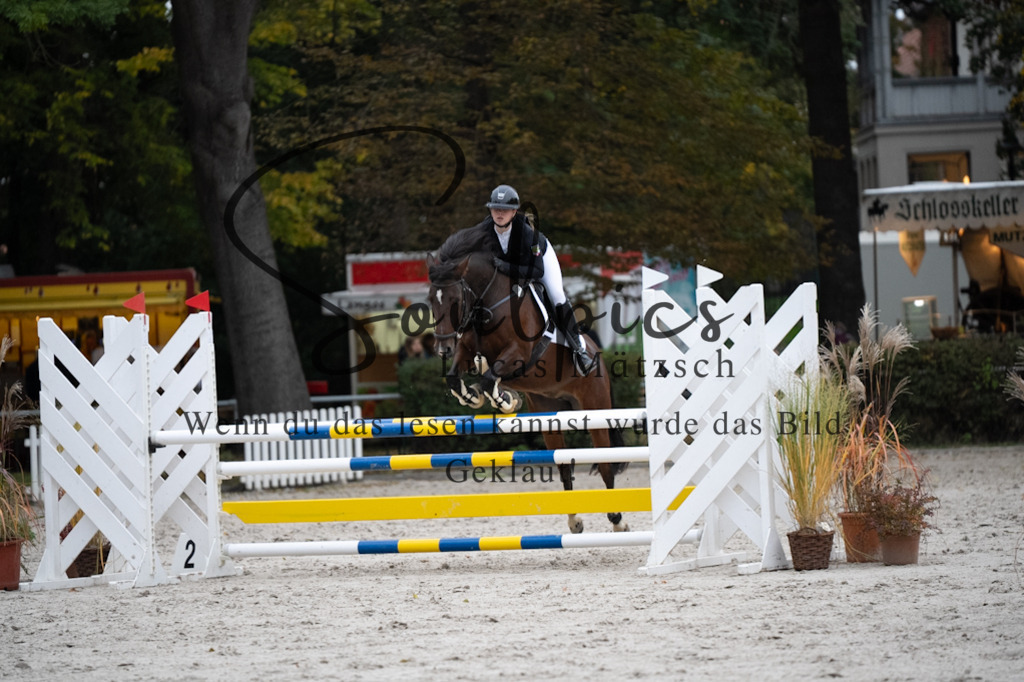 A7V08708 | Pferdefotograf