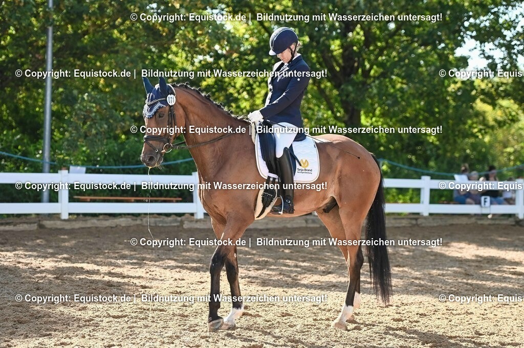 20230715_06_Dressurpferdeprfg. Kl.A_0222 | equistock