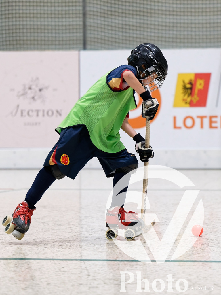 DZ9_2023 | Velletri Photo
