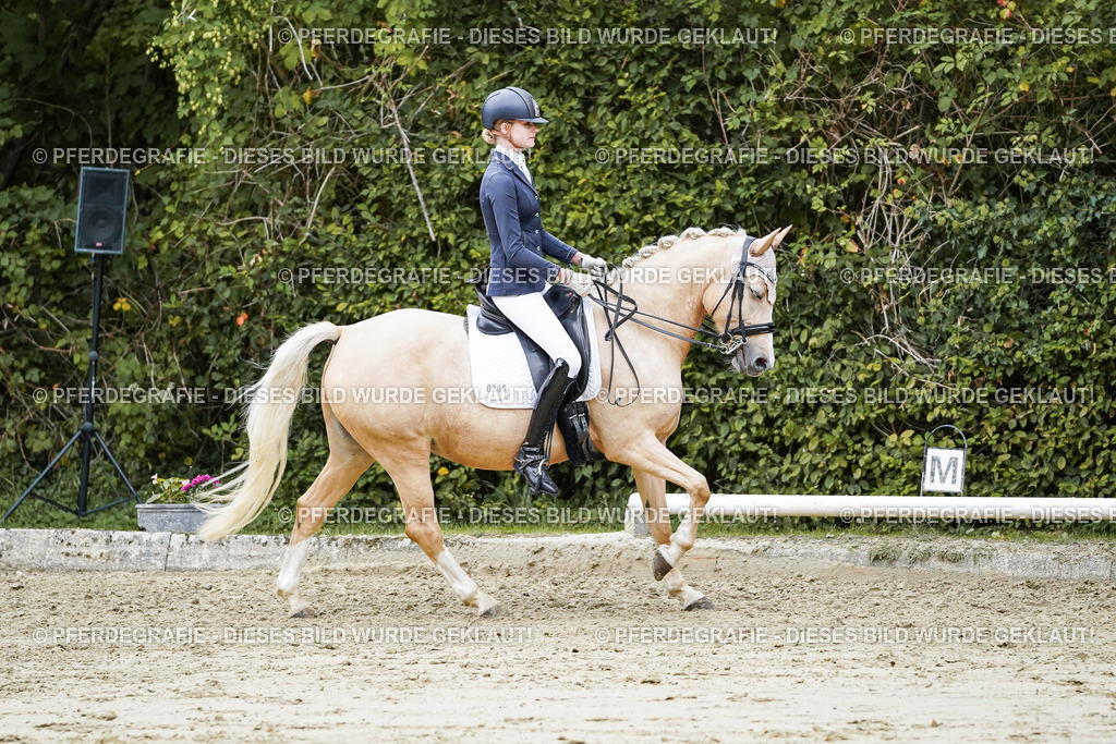 DSC07413 | Pferdegrafie