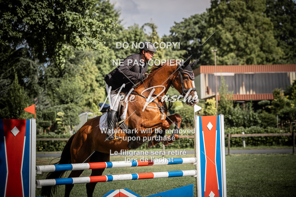 nelerasche_SprL115Ede_11 | nelerasche