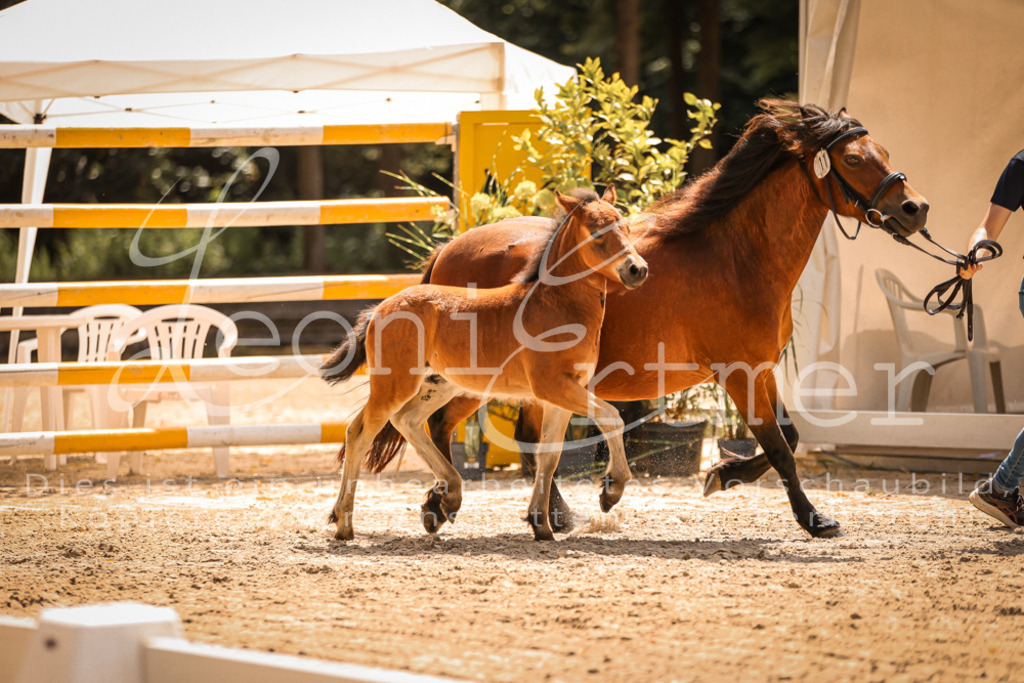 02.DoSR00134 | Leoni Ertmer Photography - Realisiert mit Pictrs.com