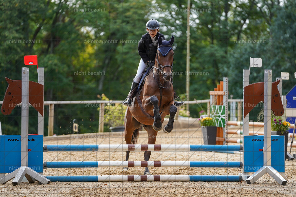 20231008-SN_01212 | Professionelle Turnier- und Reitsportfotografie - mit dem Finger am Auslöser. Pferdebilder aus dem Reitsport von den Turnierfotografen  Bayern , Pferdefotograf Bayern, Pferdeshooting Turnierbilder, Hochzeitsfotograf, Eventfotograf, Hochzeitsbilder