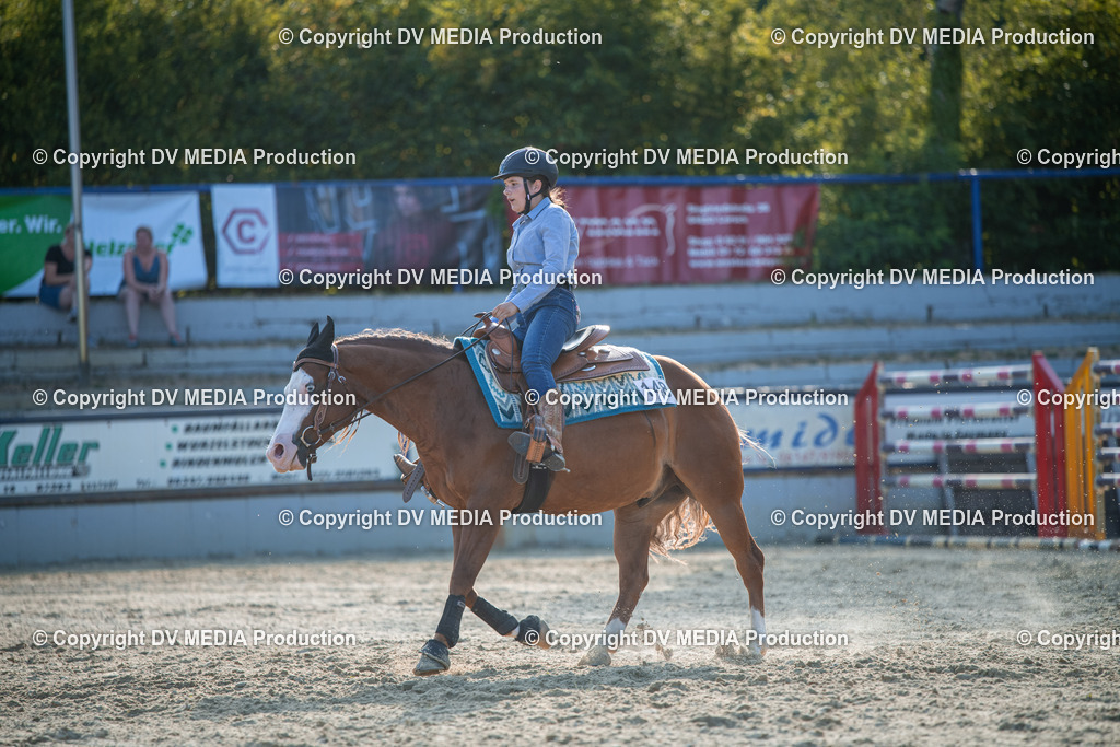 EWP_7121 | dv-media-shop - Realisiert mit Pictrs.com