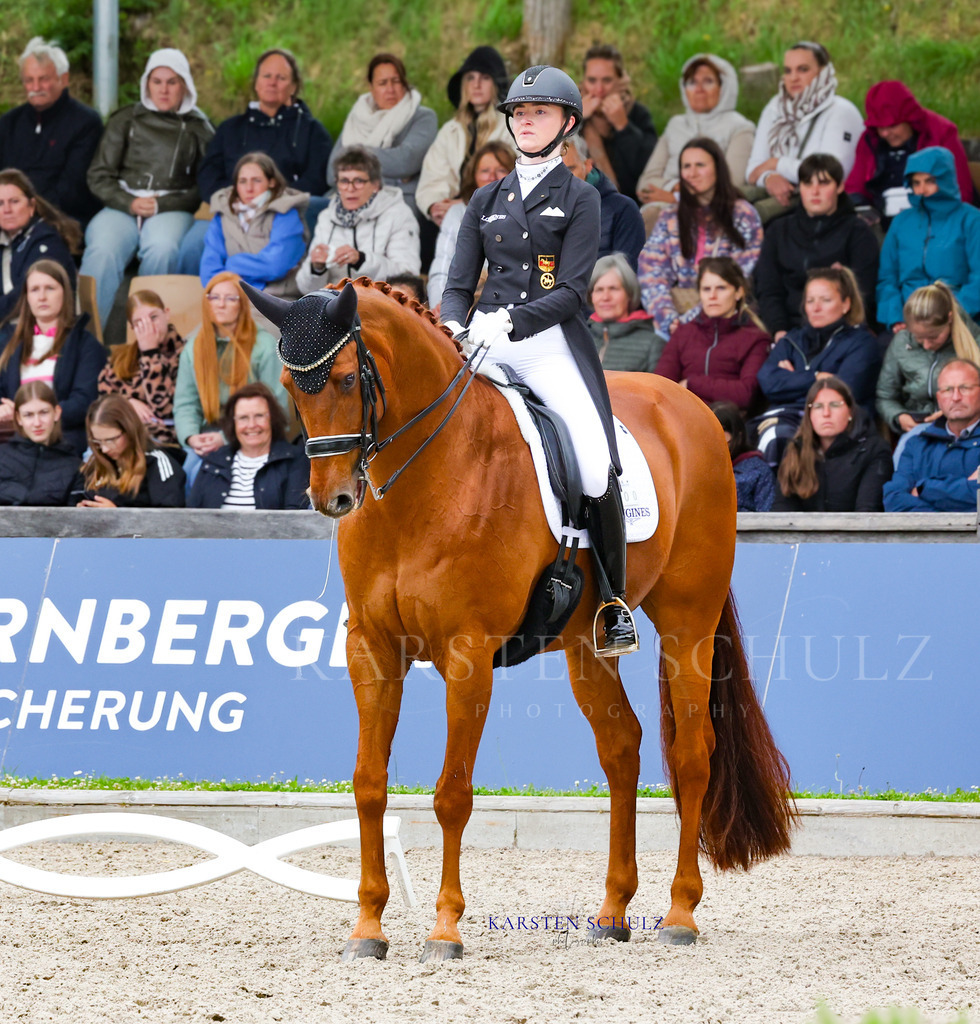 1B3A8438 | Reitsport Reiten