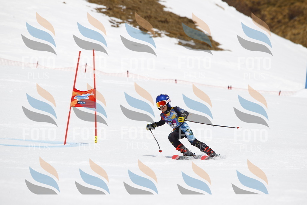 _U3G6935 | holidayphoto