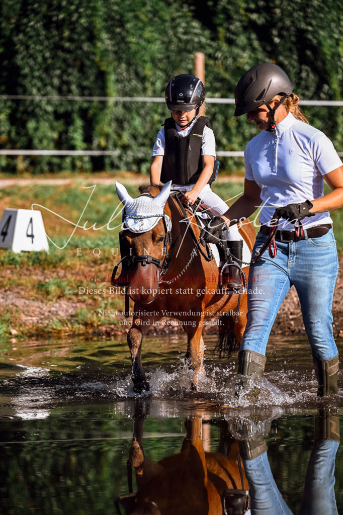 DSC_0487 | Pferde- und Turnierfotografie in Westsachsen. Pferdeportraits, Auftragszeichnungen und intuitive Kunst.