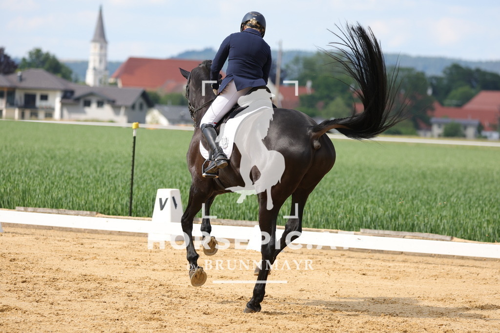 0P6A9102 | Willkommen bei Brunnmayr - Design & Fotografie – Ihrem Spezialisten für Reitturniere und Pferdeveranstaltungen in Oberösterreich, Salzburg und Bayern! Seit über 17 Jahren sind wir leidenschaftlich dabei.