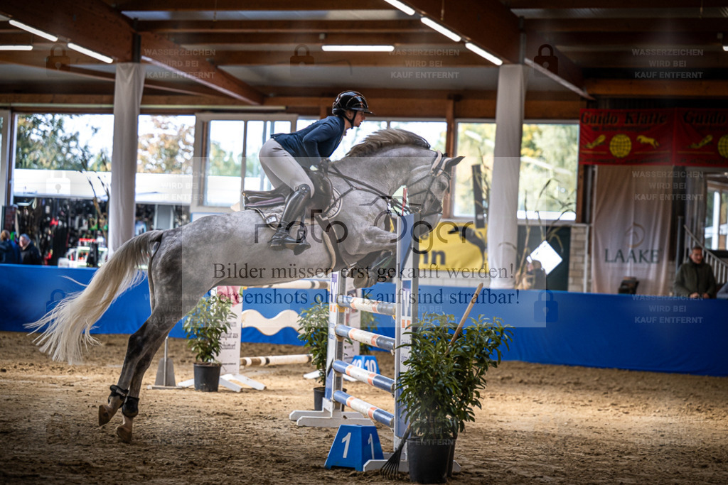 DOS_1237 | Entdecke hochwertige Reitturnierfotos von Foto Oger. Professionell, emotional und authentisch – jetzt Lieblingsmomente im Shop bestellen. - Realisiert mit Pictrs.com