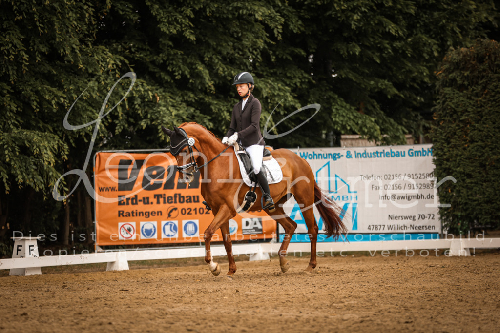 DoDrA00233 | Leoni Ertmer Photography - Realisiert mit Pictrs.com