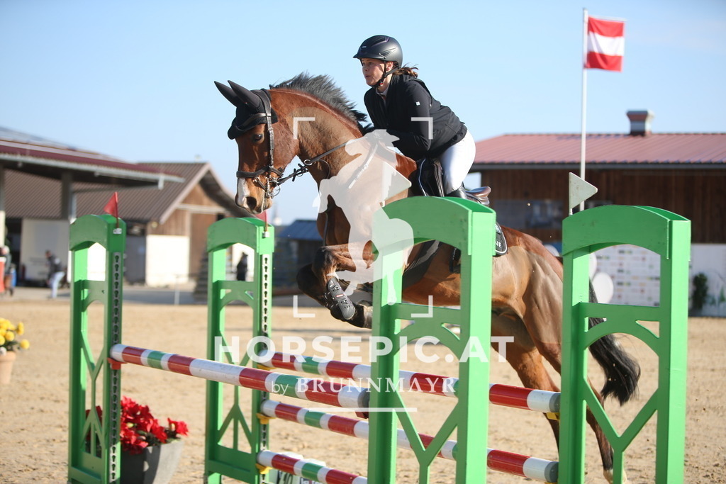 AS8V4809 | Willkommen bei Brunnmayr - Design & Fotografie – Ihrem Spezialisten für Reitturniere und Pferdeveranstaltungen in Oberösterreich, Salzburg und Bayern! Seit über 17 Jahren sind wir leidenschaftlich dabei.