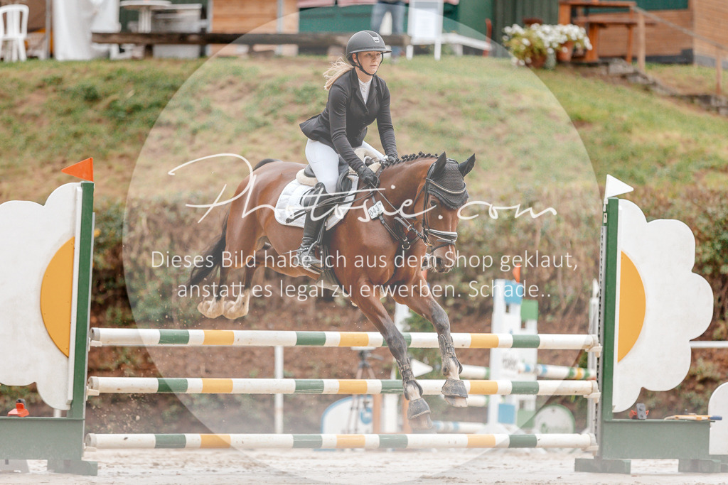 3I6A5616 | Stimmungsvolle Portraits und Reitsportfotografie im Ruhrgebiet und im Münsterland.

Pferdefotografie, Hundefotografie, Tierfotografie, Reportagen, Portraits von Tier und Mensch, Turnierfotografie in Bochum, Recklinghausen, Marl, Haltern am See, Dülmen.. - Realisiert mit Pictrs.com