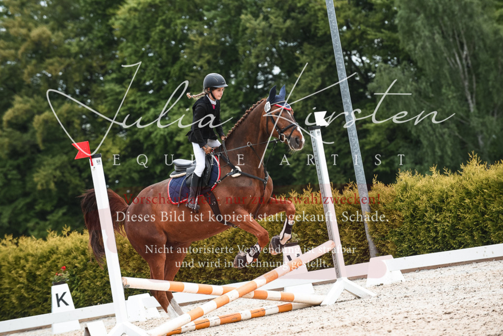 20230518_JK-Röhrsdorf-10-450 | Pferde- und Turnierfotografie in Westsachsen. Pferdeportraits, Auftragszeichnungen und intuitive Kunst.