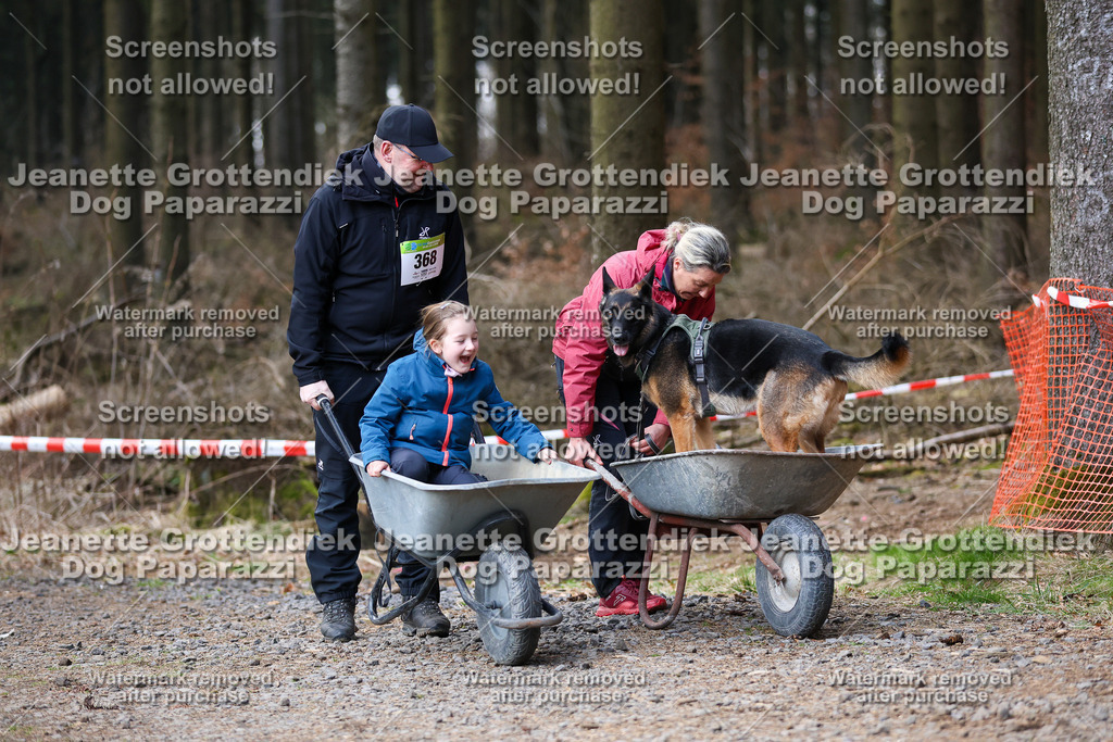 Dog Paparazzi - VCC26-767 | Dog Paparazzi Jeanette Grottendiek Fotografie & Videografie - Realisiert mit Pictrs.com