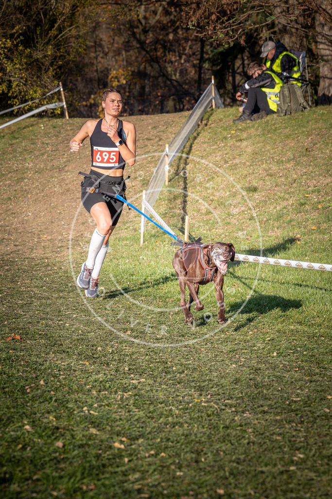 CaniXpix_0L8A9407 | Hundefotografie, Tierfotograf, Pfotenfotografie, Fotoshooting Hund, Hunde Portrait, Hundesport, Hundeportraits, Heideshooting, Hunde, Sportfotograf, Hundefotograf, Turnierhundsport, THS,  - Realisiert mit Pictrs.com
